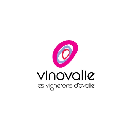 vino-valle-sabores-francia